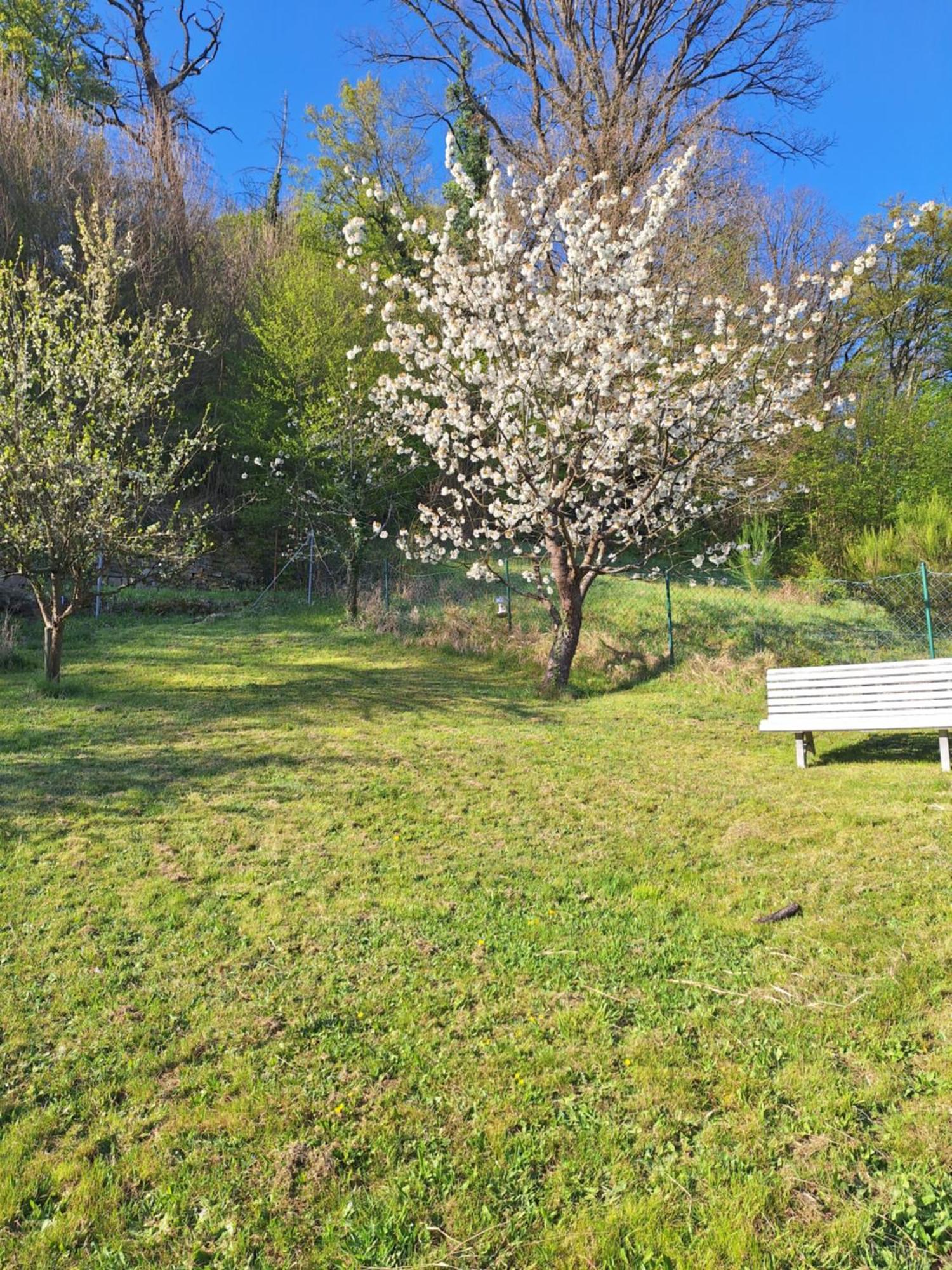 Kleines Domizil Am Suedhang Ortenberg  Pokój zdjęcie
